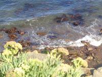 Sark &ndash; &copy; Barbara Mihut (Eberhardt TRAVEL)