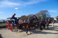 Sark &ndash; &copy; Juliane Schwarze (Eberhardt TRAVEL)