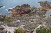 Wanderung zum Corbiere Leuchtturm &ndash; &copy; Juliane Schwarze (Eberhardt TRAVEL)