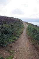 Guernsey &ndash; &copy; Juliane Schwarze (Eberhardt TRAVEL)