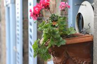 St. Aubin's  &ndash; &copy; Anna Stiebing (Eberhardt TRAVEL)