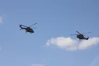 Flugshow 