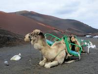 Nationalpark Timanfaya, Lanzarote &ndash; &copy; Anna Stiebing (Eberhardt TRAVEL)