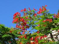 Im Pueblo Canario &ndash; &copy; Marion Kottlos (Eberhardt TRAVEL)