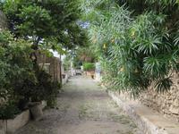 Rue de Banana in Cidade Velha &ndash; &copy; Marion Kottlos (Eberhardt TRAVEL)