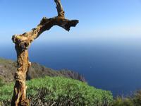 Mirador de Isora &ndash; &copy; Marion Kottlos (Eberhardt TRAVEL)