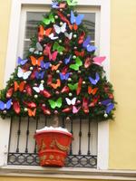 P1010934 &ndash; &copy; Kathrin Mickan (Eberhardt TRAVEL)