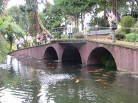 Botanischer Garten Monte Palace &ndash; &copy; Marion Kottlos (Eberhardt TRAVEL)
