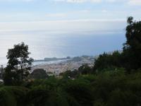 Botanischer Garten Monte Palace - Blick zur AIDAstella &ndash; &copy; Marion Kottlos (Eberhardt TRAVEL)