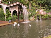 Botanischer Garten Monte Palace &ndash; &copy; Marion Kottlos (Eberhardt TRAVEL)