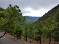 58_La Palma &ndash; &copy; Jörg Nesse (Eberhardt TRAVEL)
