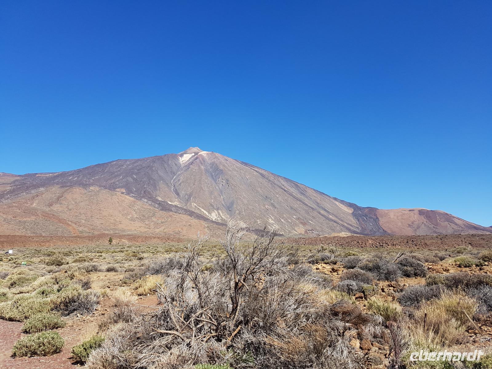 072_Teneriffa &ndash; &copy; Jörg Nesse (Eberhardt TRAVEL)