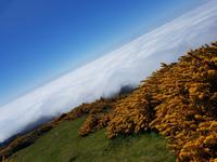 039_Madeira &ndash; &copy; Jörg Nesse (Eberhardt TRAVEL)