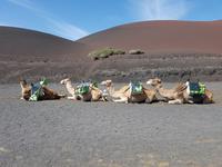 058_Lanzarote &ndash; &copy; Jörg Nesse (Eberhardt TRAVEL)