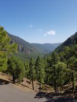 068_La Palma &ndash; &copy; Jörg Nesse (Eberhardt TRAVEL)