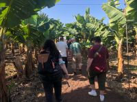 Bananenplantage  &ndash; &copy; Francisco Javier Burgos Gutierrez (Eberhardt TRAVEL)