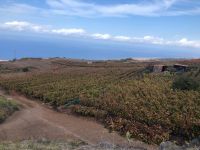 Bodegas Monje  &ndash; &copy; Francisco Javier Burgos Gutierrez (Eberhardt TRAVEL)