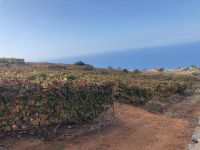 Bodegas Monje  &ndash; &copy; Francisco Javier Burgos Gutierrez (Eberhardt TRAVEL)