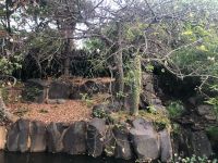 Santa Cruz &ndash; &copy; Francisco Javier Burgos Gutierrez (Eberhardt TRAVEL)