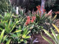 Santa Cruz  &ndash; &copy; Francisco Javier Burgos Gutierrez (Eberhardt TRAVEL)
