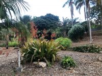 Santa Cruz  &ndash; &copy; Francisco Javier Burgos Gutierrez (Eberhardt TRAVEL)