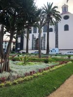 Orotava