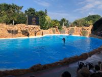Loro Parque  &ndash; &copy; Francisco Javier Burgos Gutierrez (Eberhardt TRAVEL)
