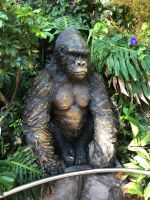 Loro Parque  &ndash; &copy; Francisco Javier Burgos Gutierrez (Eberhardt TRAVEL)