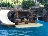 Loro Parque  &ndash; &copy; Francisco Javier Burgos Gutierrez (Eberhardt TRAVEL)