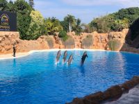 Loro Parque  &ndash; &copy; Francisco Javier Burgos Gutierrez (Eberhardt TRAVEL)