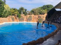 Loro Parque &ndash; &copy; Francisco Javier Burgos Gutierrez (Eberhardt TRAVEL)
