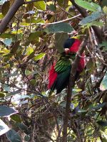 Loro Parque  &ndash; &copy; Francisco Javier Burgos Gutierrez (Eberhardt TRAVEL)