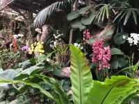 Loro Parque  &ndash; &copy; Francisco Javier Burgos Gutierrez (Eberhardt TRAVEL)