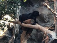 Loro Parque  &ndash; &copy; Francisco Javier Burgos Gutierrez (Eberhardt TRAVEL)