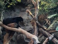 Loro Parque &ndash; &copy; Francisco Javier Burgos Gutierrez (Eberhardt TRAVEL)
