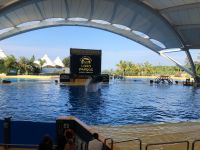 Loro Parque