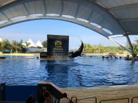 Loro Parque  &ndash; &copy; Francisco Javier Burgos Gutierrez (Eberhardt TRAVEL)