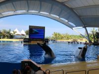 Loro Parque  &ndash; &copy; Francisco Javier Burgos Gutierrez (Eberhardt TRAVEL)