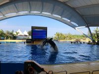 Loro Parque &ndash; &copy; Francisco Javier Burgos Gutierrez (Eberhardt TRAVEL)