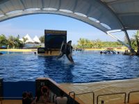 Loro Parque &ndash; &copy; Francisco Javier Burgos Gutierrez (Eberhardt TRAVEL)