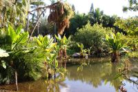 97 Palmengarten &ndash; &copy; Susanne Schirmann (Eberhardt TRAVEL)