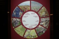 133 Weinpgroduktion &ndash; &copy; Susanne Schirmann (Eberhardt TRAVEL)