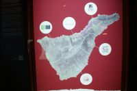 135 Weinanbaugebiete Teneriffas &ndash; &copy; Susanne Schirmann (Eberhardt TRAVEL)
