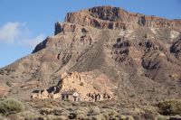 172 Teide Nationalpark &ndash; &copy; Susanne Schirmann (Eberhardt TRAVEL)