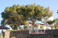 186  Icod de los Vinos &ndash; &copy; Susanne Schirmann (Eberhardt TRAVEL)