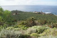 200 Westküste Teneriffa &ndash; &copy; Susanne Schirmann (Eberhardt TRAVEL)