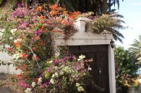 202 Teneriffa &ndash; &copy; Susanne Schirmann (Eberhardt TRAVEL)