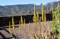 211 Gebirge auf La Gomera &ndash; &copy; Susanne Schirmann (Eberhardt TRAVEL)