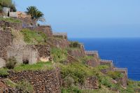 218 Terrassenfelder La Gomera &ndash; &copy; Susanne Schirmann (Eberhardt TRAVEL)