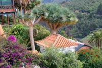 224 La Gomera &ndash; &copy; Susanne Schirmann (Eberhardt TRAVEL)